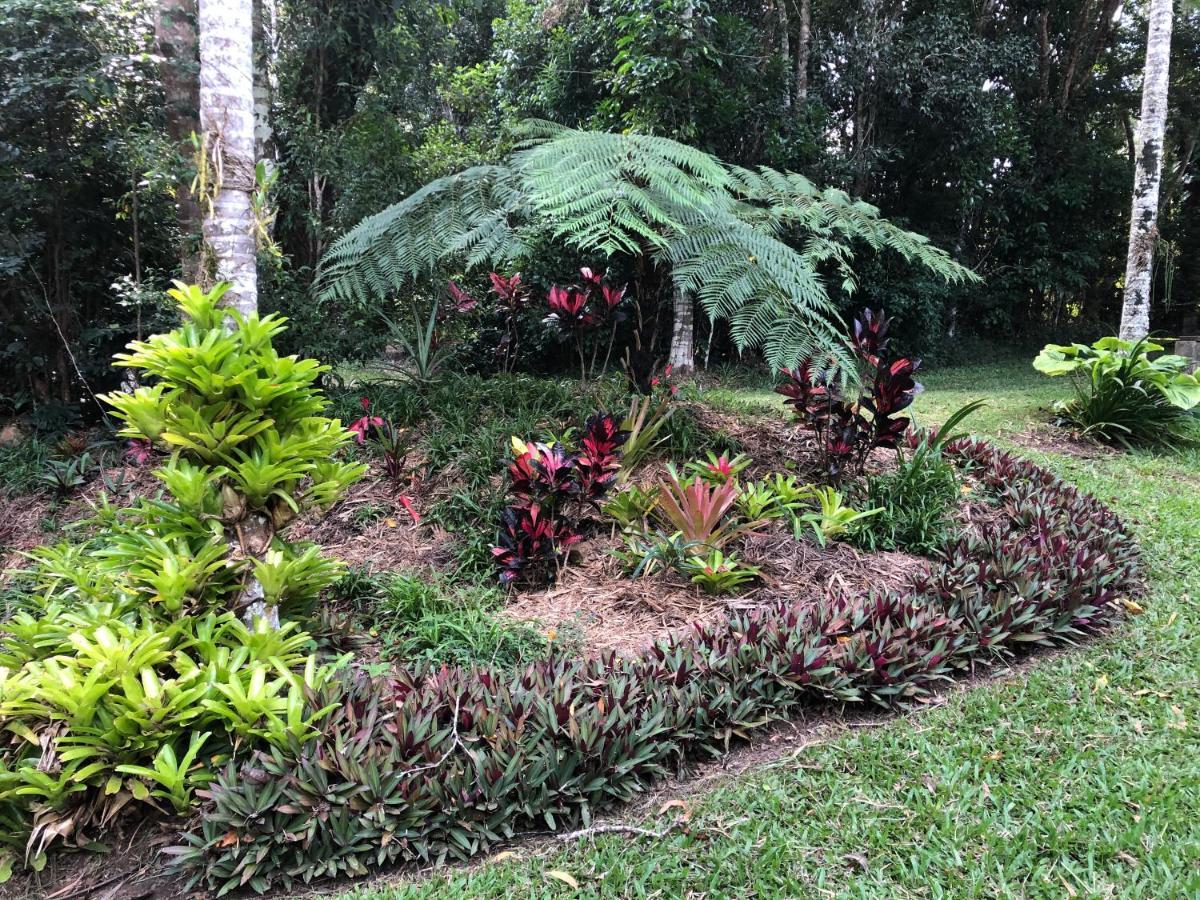 Honeybee House Villa Kuranda Kültér fotó