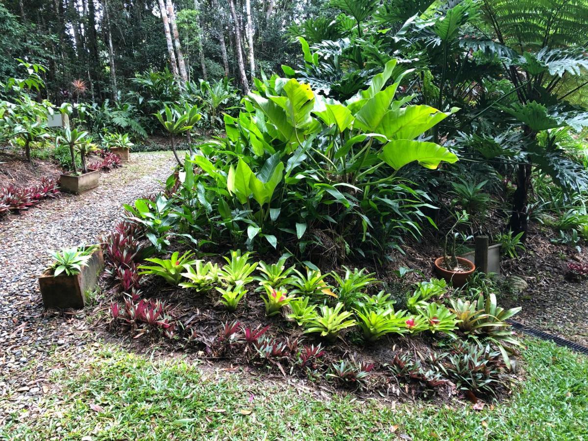 Honeybee House Villa Kuranda Kültér fotó