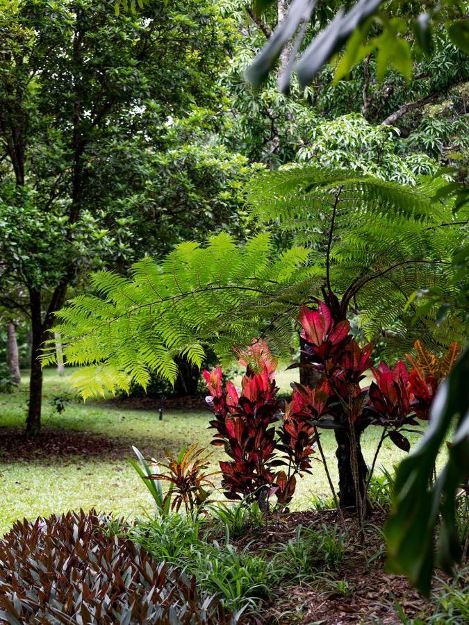 Honeybee House Villa Kuranda Kültér fotó